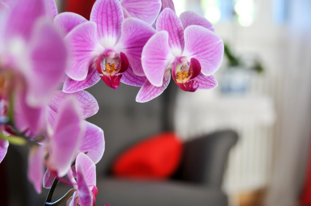 B&B Al Parco Giardini Margherita Bolonia Zewnętrze zdjęcie